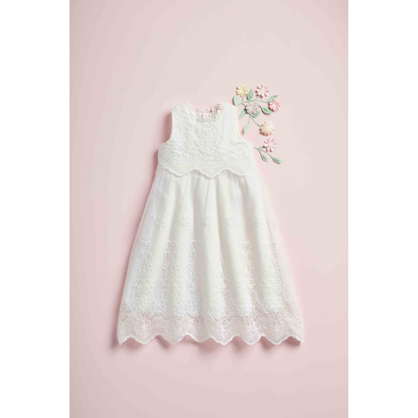 knee length dresses for ladies Lace Dress